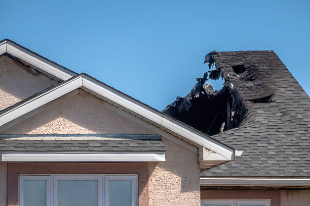Top rated local Fire Damage Removal specialists in Minnesota, MN